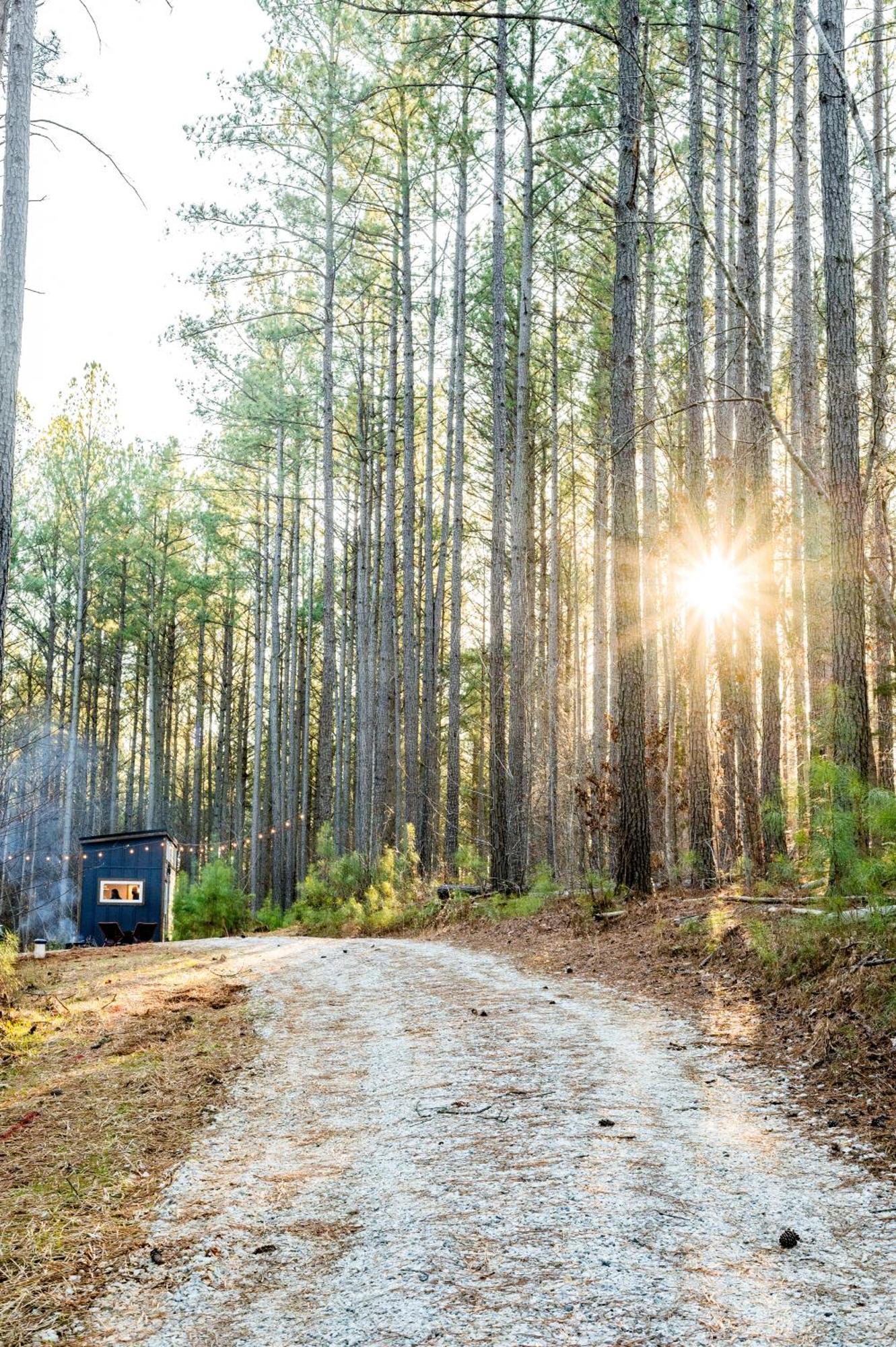 Pine Creek Tiny House Villa Amherst Ngoại thất bức ảnh